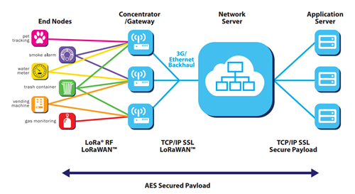 LoRa network structure.png