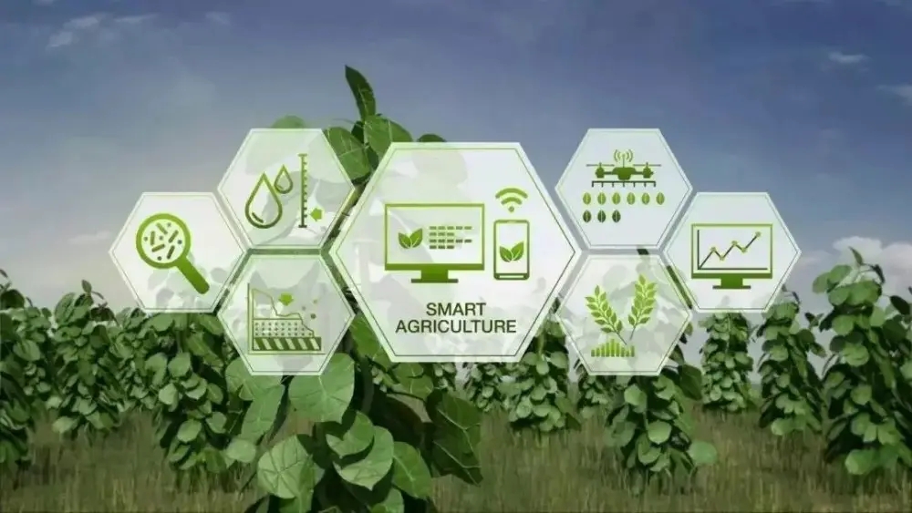 Smart Agriculture IoT (2).jpg