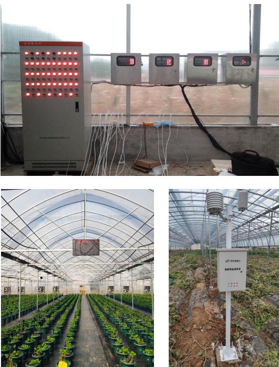 Agricultural Internet of Things Construction.jpg