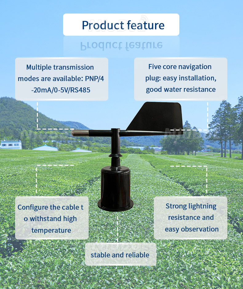 Understanding Wind Speed and Tree Stability: How Strong Winds