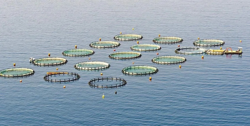 aquaculture.jpg