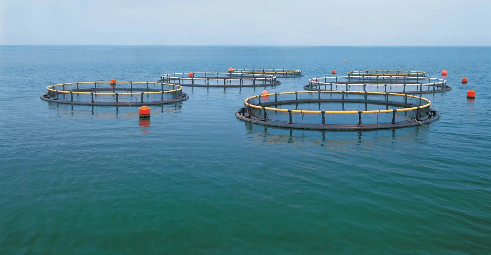 aquaculture.jpg