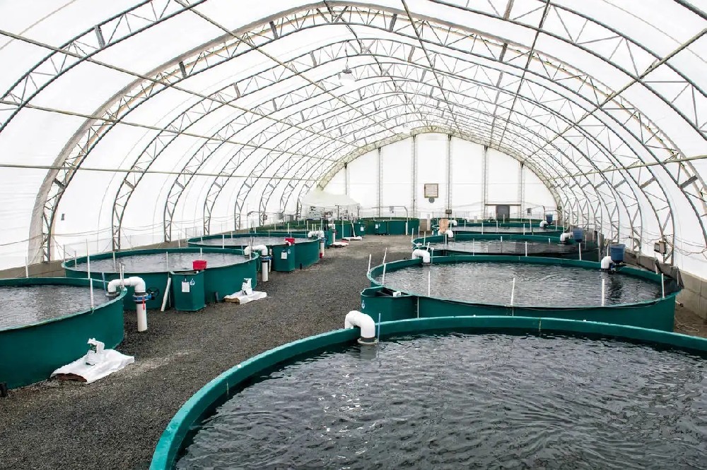 Intelligent aquaculture (1).jpg