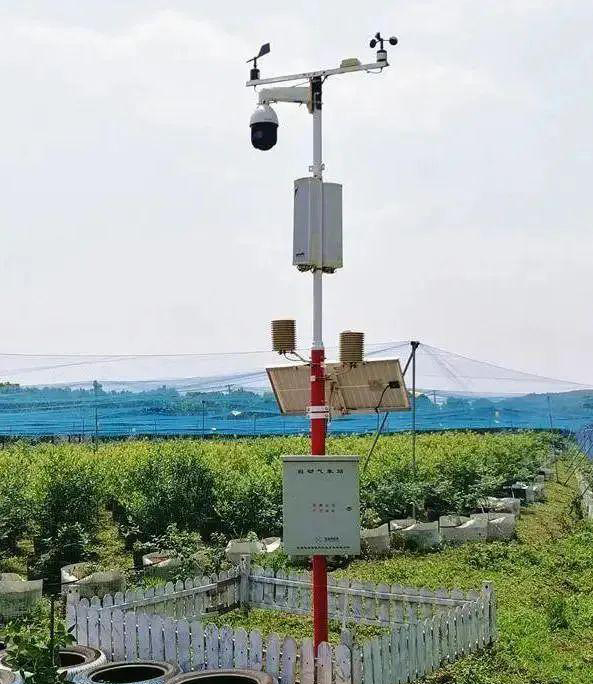 Fruit Garden Weather Station (1).jpeg