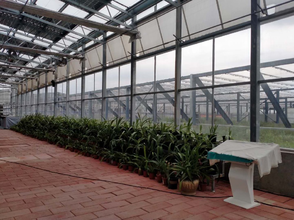 Intelligent greenhouse greenhouse.jpg