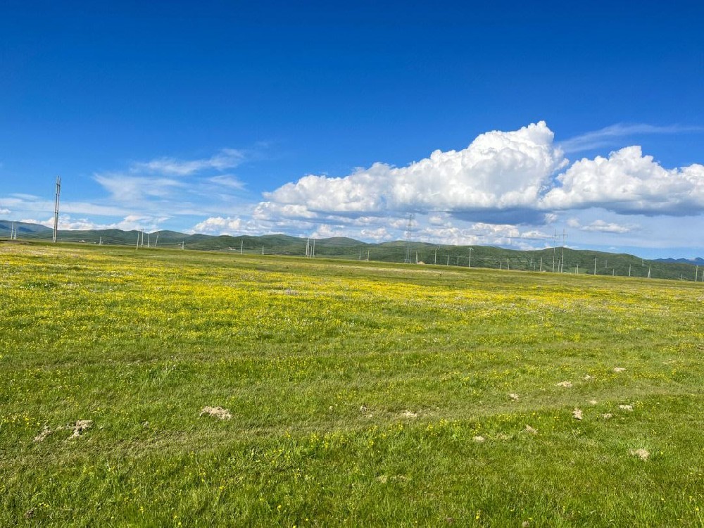 Grassland meteorological monitoring (1).jpeg