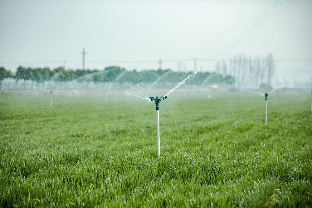 irrigation system.jpeg