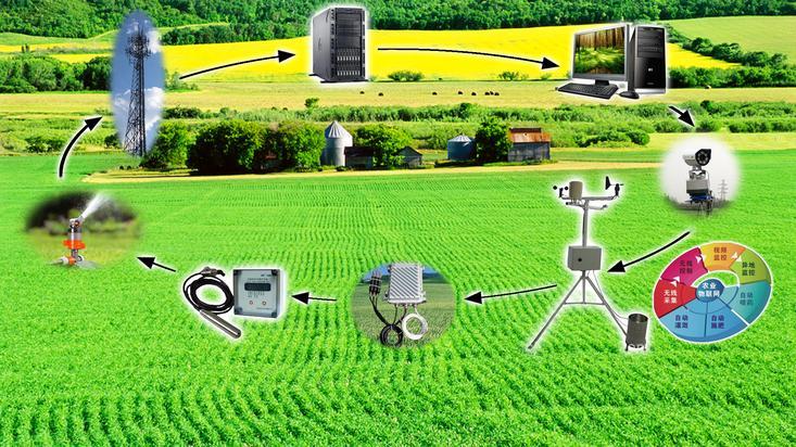  sensors used in precision agriculture (2).jpeg