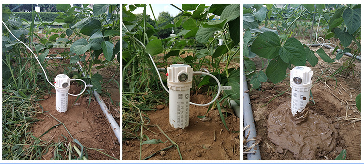 test the moisture content of soil.png