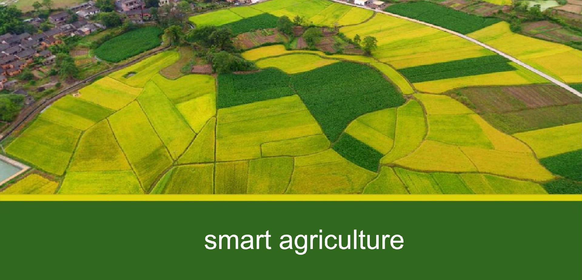 smart-agriculture.jpg