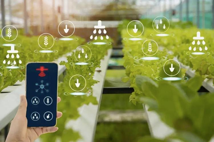 Agricultural IoT Cloud Platform.jpeg